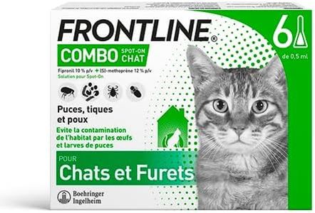 FRONTLINE 