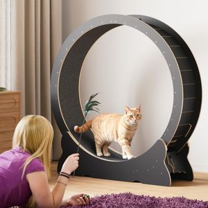 Mondeer XL Cat Exercise Wheel – Large Indoor Running Wheel for Cats