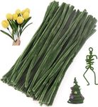 100 pcs Green Pipe Cleaners,Pipe Cleaners for Crafts,Pipe Cleaner Crafts,Chenille Stems for Craft Kids DIY Arts&Crafts Supplies (Green)