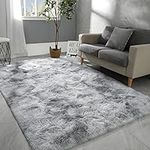 Hutha 4x6 Large Area Rugs for Livin