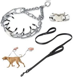 Prong Collar for Dogs,Dog Training Collar with One Professional Training Leash,Adjustable Pinch Collar with Quick Release Metal Buckle, No Pull Choke Collar for Small Medium Large Dogs（Silver, XL）.