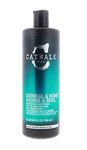 Catwalk Oatmeal & Honey Treatment Conditioner 25.36-Ounces