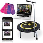 Boogie Bounce Rebounder | Folding &