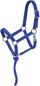 Tough 1 Nylon Padded Miniature Halter, Blue/Royal, Large