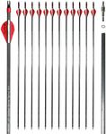 Jocoo 12 Pack 30 Inch Carbon Arrows