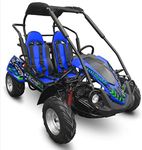 Trailmaster Blazer 200R Go Kart You