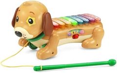 VTech Zoo Jamz Doggy Xylophone