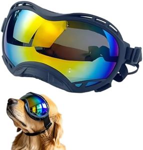 Dog Goggle