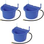 Little Giant FW16BLUE 4 Gallon Capacity Automatic Float Controlled Waterer Animal Horse & Cattle Livestock Water Trough, Blue (3 Pack)