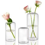 ZENS Small Fower Vase Set of 3, Stunning Bud Vases for flowers, Clear Glass Bud Vase for Wedding Party Centerpiece, Modern Blown Thicker Tube Flower Vases For Living Room Table, Home Decor