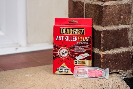 Deadfast Ant Killer Plus Bait Station, 3 x 4g – Natural