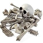 The TWIDDLERS 25 Pc Plastic Skeleton Halloween Decorations, Squelette Halloween Skull Skeleton Bone Pieces - Bag of Bones, Fake Bones for Halloween Party, Halloween Graveyard & Spooky Outdoor Decor