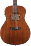 Washburn WLO12SE - Natural