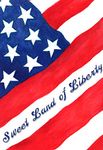 Toland Home Garden Sweet Land of Liberty-Decorative Patriotic America Stars Stripes House Flag