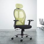 CELLBELL Tauras Lite C100 Mesh High Back Office Chair/Study Chair/Computer Chair/Revolving Chair Desk Chair for Work from Home Metal Base Seat Height Adjustable Chair Pistachio Green