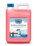 Disinfectant Concentrate Liquid - Multi Surface All Purpose - Antibacterial - Antiviral - EN1276 | Use in Kennels, Toilets, Kitchen, Office, Astro Turf & Many More Other Surfaces (5L, Red Berry)