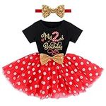 Baby Girls 1st 2nd Birthday Outfit 