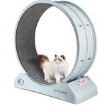 AbhsantCat Wheel Runner,Exercise for Indoor Cats, Low Noise, Cat Wheel,Running Wheel,Large Cat Toy,Easy Assembly,Indoor Runner(Grey, 33 x 31 x 12 Inch)