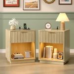 Bonnlo Bedside Table with USB, Smart Nightstand with LED Lights & Charging Station, 48 x 38 x 57 cm, Side Table for Living Room, Bedroom, Office (Oak,2pcs)