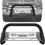 oEdRo Paintable Bull Bar Fits 2009-