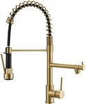 Brushed Gold Kitchen Faucet with Pu