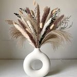 Natural Pampas Grass, Eucalyptus Reed, Bunny Tails Boho Home Decor Dried Flowers Arrangements(Dry pampas-50pcs)