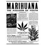 Wee Blue Coo Advertising Drug Awareness Warning Marijuana Weed Cannabis Panic USA Art Print Poster Wall Decor 12X16 Inch