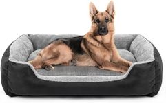 Beds For Dogs