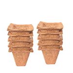 TrustBasket Coir Seedling Cups - 4 Inches (Set of 10)