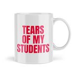 Funny Teacher Mug Gift for Teacher Mugs Professor Professors Funny Professor Gifts E-Learning Digital Education Novelty Mugs Kids Children Pupil Student MTE3