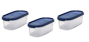 Signoraware 500ml Modular Storage Container with Lid | Food Grade Bpa-Free Plastic Jar Boxes | Freezer Microwave Safe Leak-Proof | Unbreakable Kitchen Organizers (Oval | Set 3 Mod Blue)