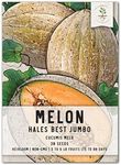 Seed Needs, Hales Best Jumbo Melon Seeds - 30 Heirloom Seeds for Planting Cucumis melo - Grow Your Own Fruits in The Garden Non-GMO/Untreated (1 Pack)