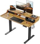 ErGear Electric Standing Desk with 