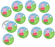 SHUDAUSHI® 12-Pcs Metal Pin Badges for Kids, Carton Theme Badges, Birthday Supplies, Return Gifts for Kids, Accessories, Party Items, Pin Badge Brooch for Kids Party Favor Return Gift (Peppa-Pig)