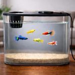 FinyPetz PS-30L Acrylic Aquarium Fish Tank with LED Light & Plant Holder | 10L Desktop Nano Aquarium for Betta, Guppy,Shrimp & Aquatic Plants | Clear Mini Fish Bowl Tank for Home Office Table Decor