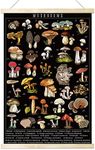 Tevxj Vintage Black Mushroom Poster Wall Art Prints Colorful Rustic Style of Mushroom Wall Hanging Illustrative Reference Chart Poster for Living Room Office Classroom Bedroom Playroom Dining Room