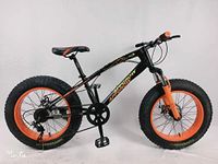 Fat Bike For Kids 20 * 4.00 Dual Disc With 7 Speed Gears, Black