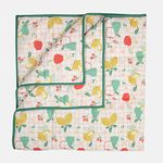 Tidy Sleep Cotton Comforter for Baby, AC Quilt, Winter Blanket for Newborn,Super Soft,Reversible for Infants,Toddlers Babies 0-2 Years (Fruit Print, 100x140)