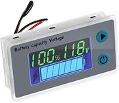 10-100V Digital Battery Capacity Te