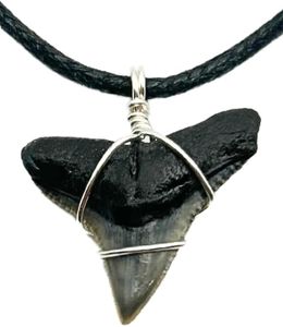 Sunken Hunter Fossilized Bull Shark Tooth Necklace for Boys on Adjustable Black Cord