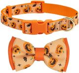 azuza Halloween Dog Collars with Bo