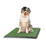 Artificial Grass Puppy Pee Pad for 