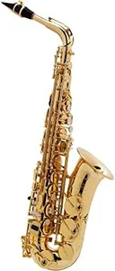 Selmer Paris SeleS AXOS Series Alto Saxophone Lacquer