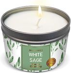 MAGNIFICENT101 Pure White Sage Smudge Candle for House Energy Cleansing, Banishes Negative Energy I Purification and Chakra Healing - Natural Soy Wax Tin Candle (Pure White Sage, 6 oz)