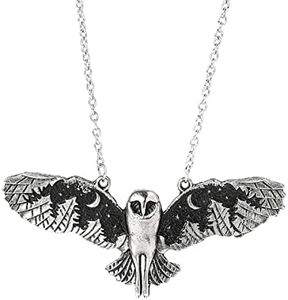 KURTCB Owl Pendant Necklace Vintage Punk Moon Forest Animal Wing Flying Fairy Core Chain Choker Necklace for Women Men