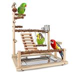 Natural Wood Bird Perches Stand for Small to Medium-Sized Birds, Living Playground for Birds, Parrot Playstand, Bird Gym Ladder Play Stand, Multilevel Wood Perch with Swing, Feeder Cups, Tray