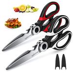 Stainless Steel Shears