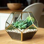 CSM Urbaa Glass Round Terrarium Candle Holder Crackle Gold Dinning Table Decor Items | Table Decorative Items Candle Stand| Center Table Decorative Items for Living Room,Glass - Big Size.