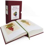 Wine Grapes: A Complete Guide to 1,