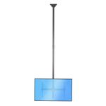 StarTech.com TV Ceiling Mount, Hanging Single Screen Vesa Mount for 32”-75" TVs/Displays - Height Adjustable Telescopic Pole